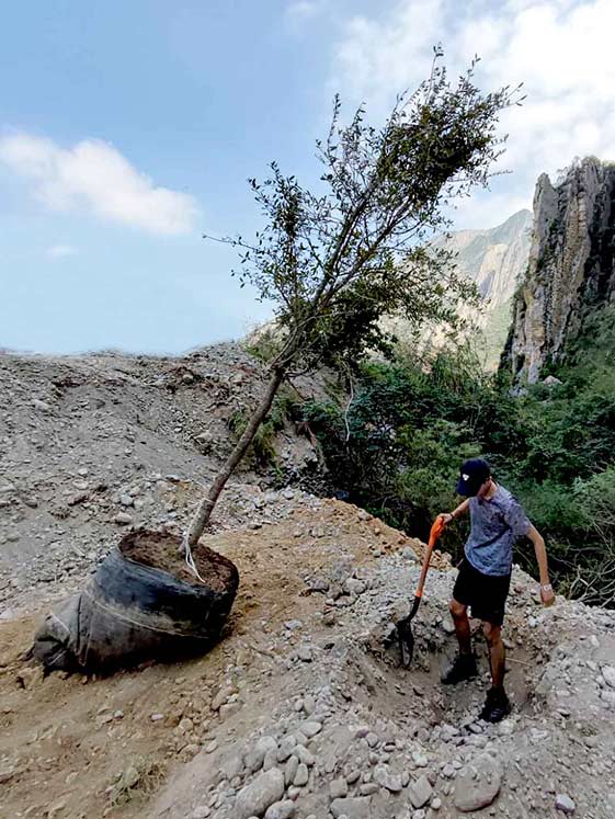 Reforestación completa.