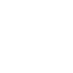 Vertimanía