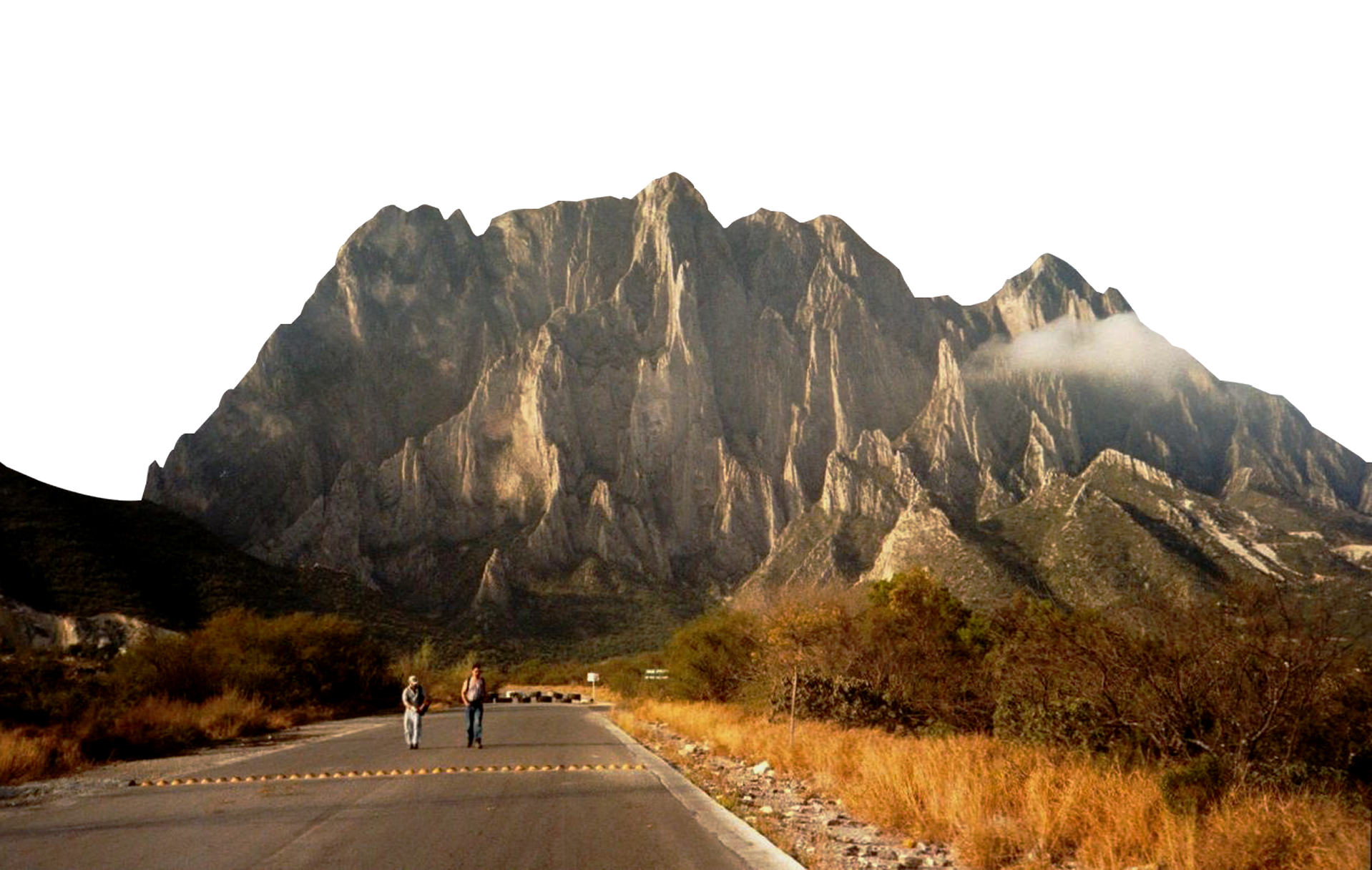 Arnés de Escalada Sport Pro imagen 3